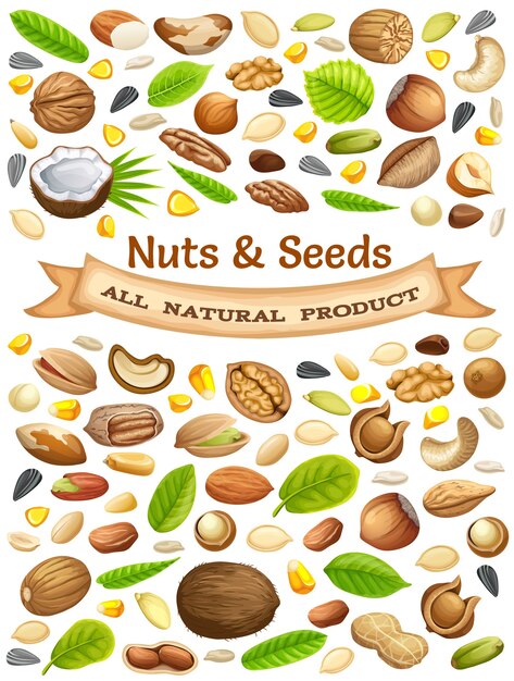 nuts and seeds illustration