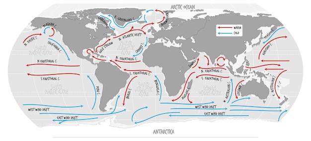 Vettore gratuito la mappa del mondo attuale dell'oceano con i nomi