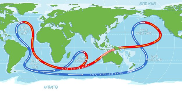 The ocean current world map