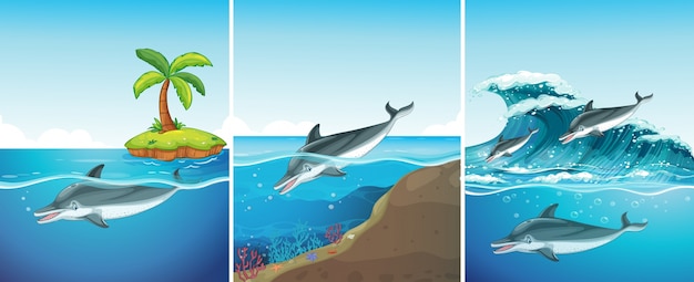 Океан сцены с Дельфин плавание