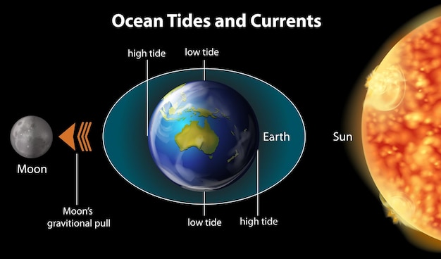 海の潮汐と海流