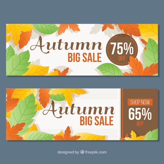 Offer banners for autumn, with color leaves