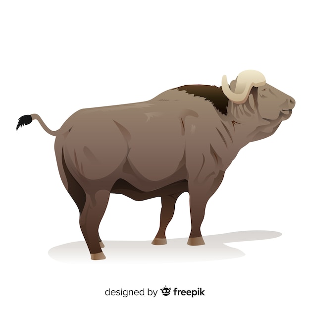 Old buffalo cartoon illustration