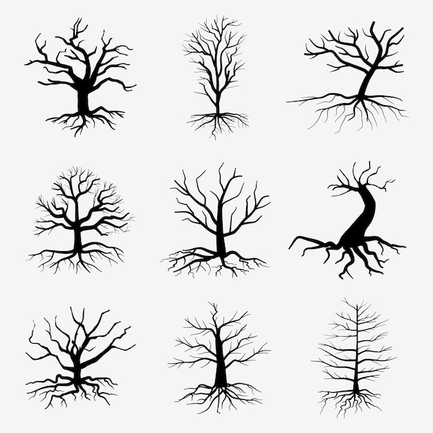 Old dark trees with roots.  dead forest trees. Black silhouette dead tree illustration
