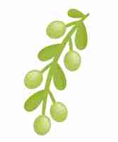 Free vector olive branch design