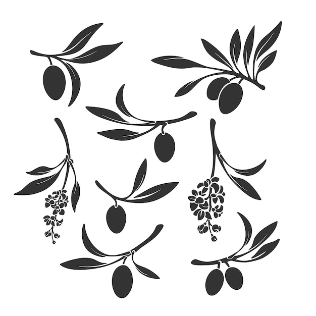 Premium Vector Olive Branch Set Black Silhouette Of Fruits