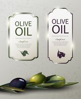 Olive oil glossy brand logos with natural organic green and black olives tree