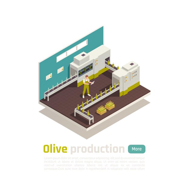 Olive olive production isometric composition with bottling line conveyor illustration