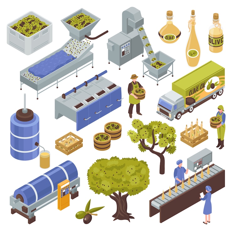 Free Vector olive production set