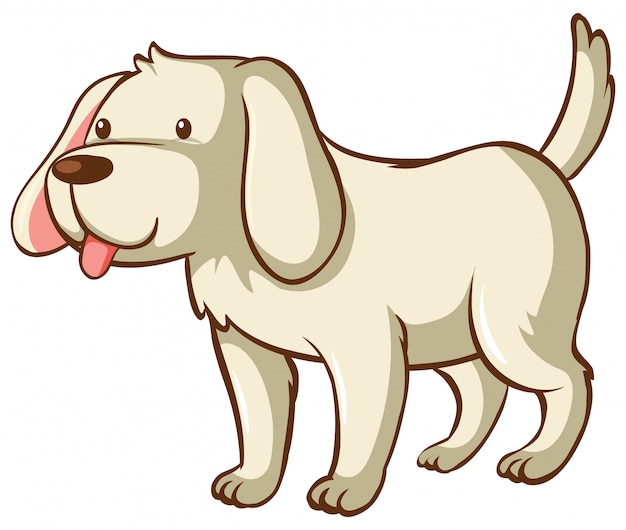 Free vector one cute dog on white background