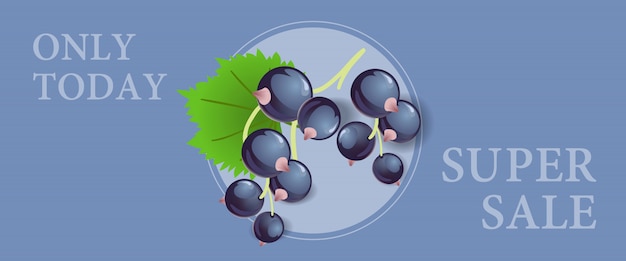 Free vector only today super sale banner design with black currant berries in round frame