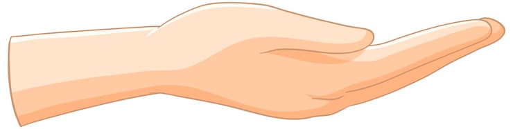 Free Vector open hand gesture illustration