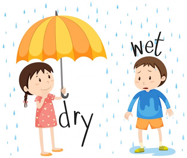 Free Vector opposite adjective dry and wet