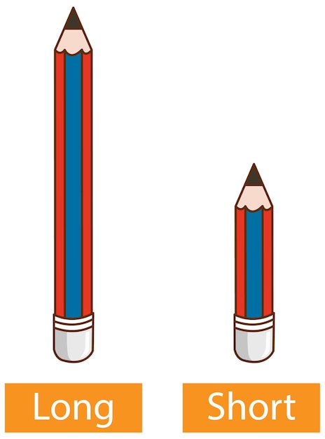 無料ベクター 白い背景の上の長い鉛筆と短い鉛筆で形容詞の反対の単語