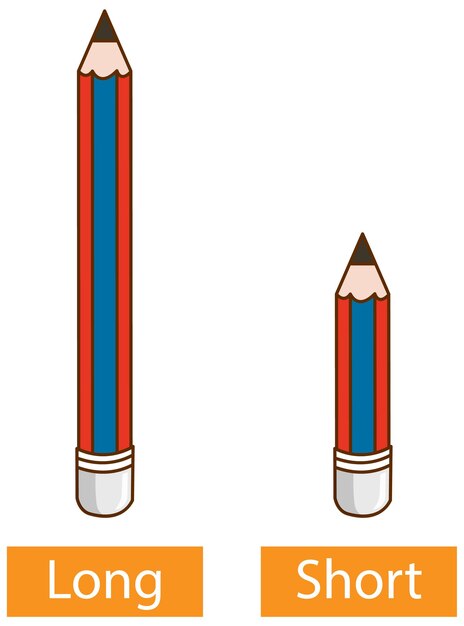 白い背景の上の長い鉛筆と短い鉛筆で形容詞の反対の単語