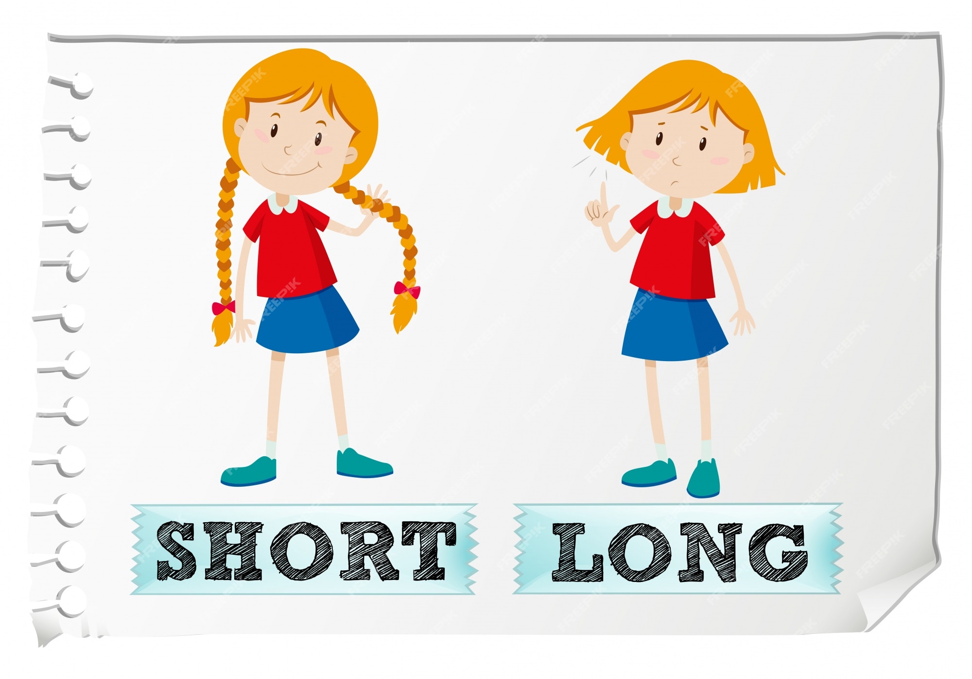 She got short. Long short для детей. Длинный короткий на английском. Карточки long short. Long short картинка для детей.