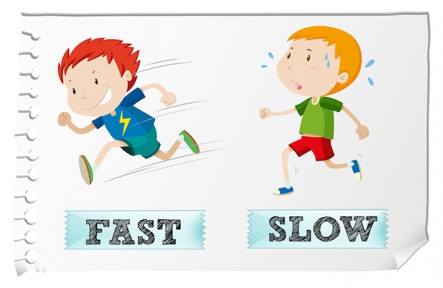 Opposite adjectives with fast and slow