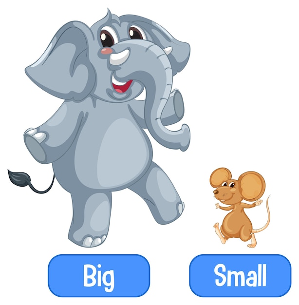 Free vector opposite adjectives words with big and small