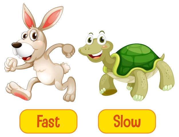 Free vector opposite adjectives words with fast and slow