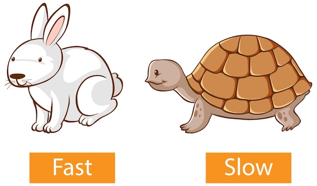 Opposite adjectives words with fast and slow