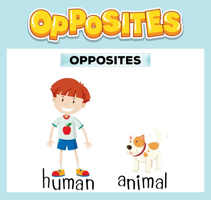 Free Vector opposite english words for kids