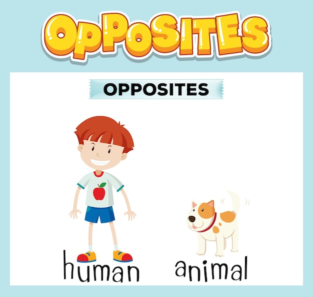 Opposite English words for kids