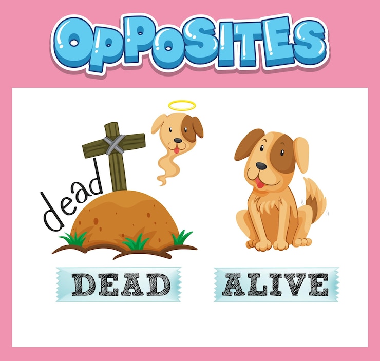 Free Vector opposite english words for kids