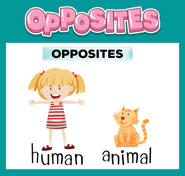 Opposite English words for kids