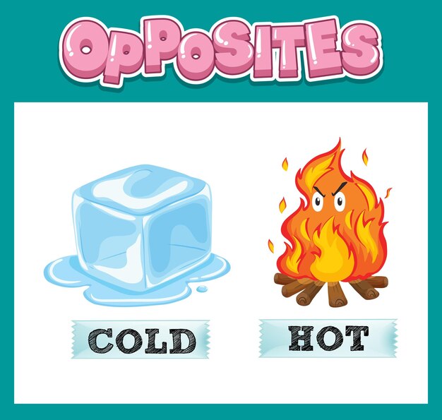 opposite english words for kids