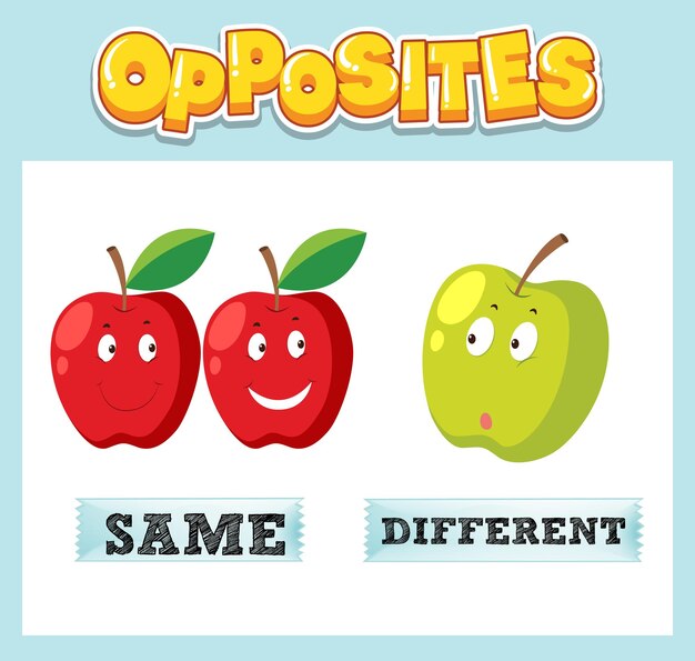 Opposite English words for kids