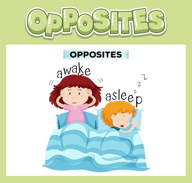 Opposite english words for kids