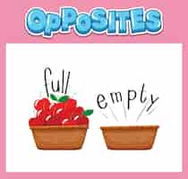 Free vector opposite english words for kids