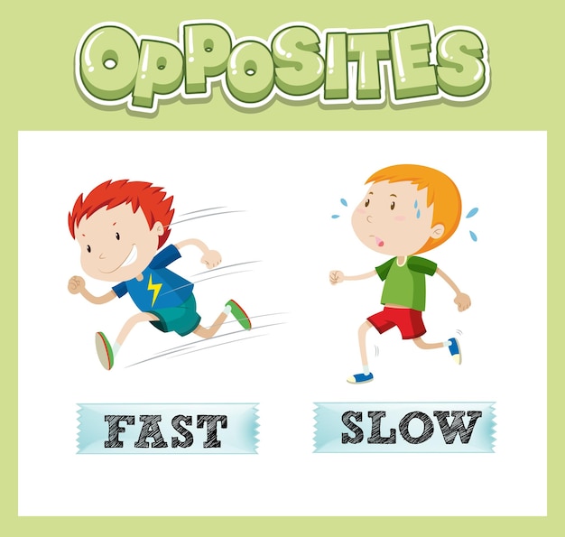 Free vector opposite english words with fast and slow