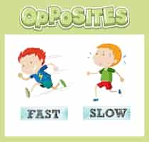 Free vector opposite english words with fast and slow