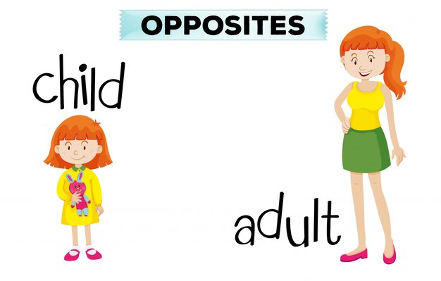 아동 및 성인과 반대되는 단어 카드