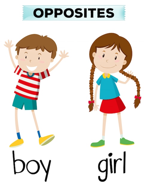 Free vector opposite words for boy and girl