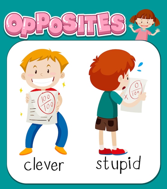 Opposite words for clever and stupid