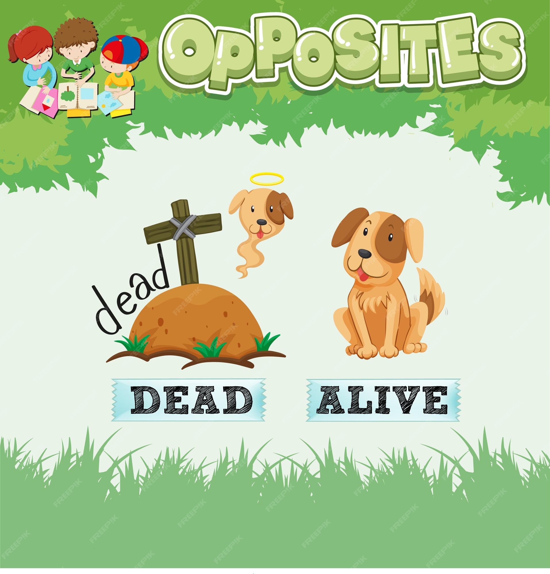 Opposite words for dead and alive Royalty Free Vector Image