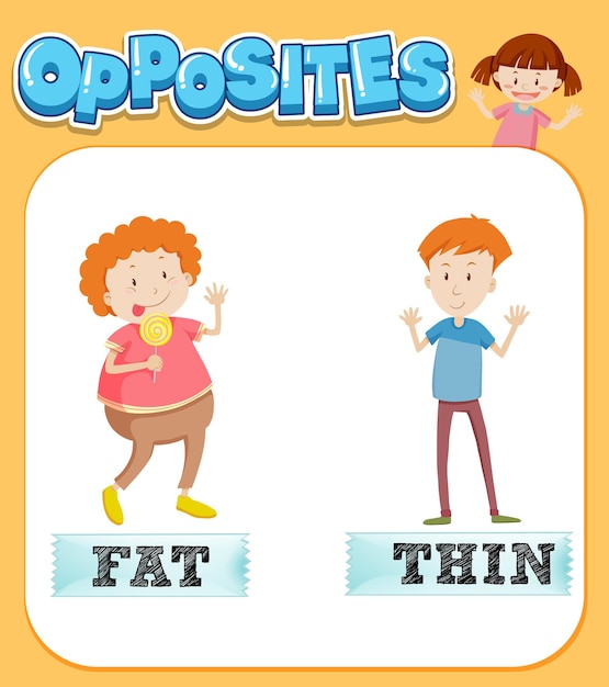 Free Vector  Opposite words for fat and thin