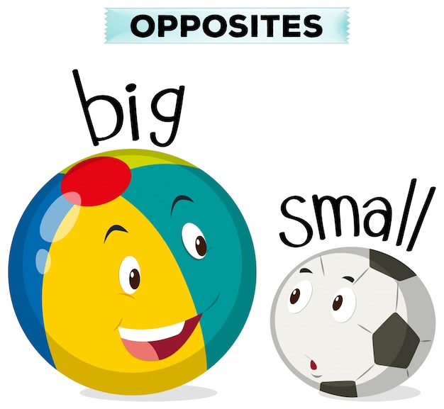 Бесплатное векторное изображение Противоположные слова для больших и малых