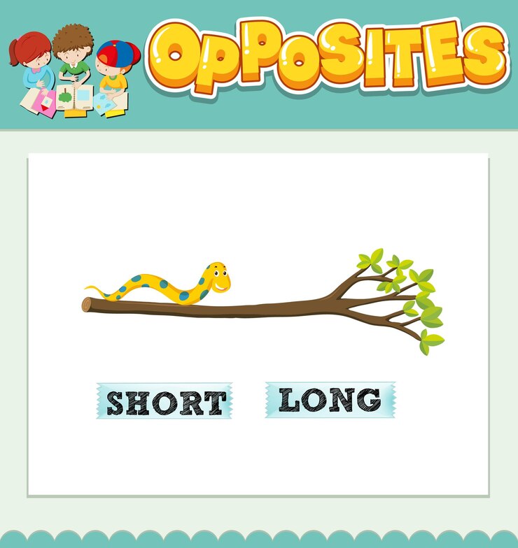Free Vector opposite words for short and long