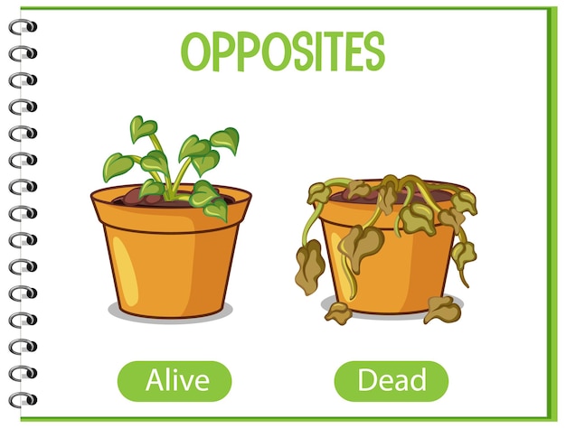 Free vector opposite words with alive and dead