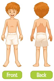 句 画像 無料のベクター ストックフォト Psd 句 画像 無料のベクター ストックフォト Psd