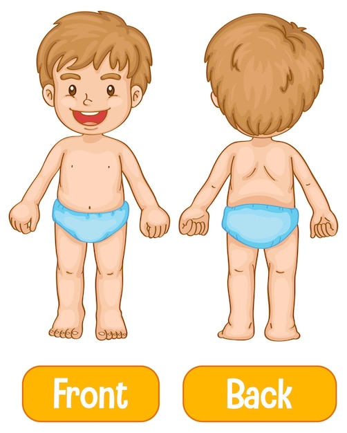 Free vector opposite words with front and back of little boy