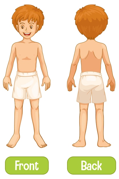 Free vector opposite words with front and back of young man