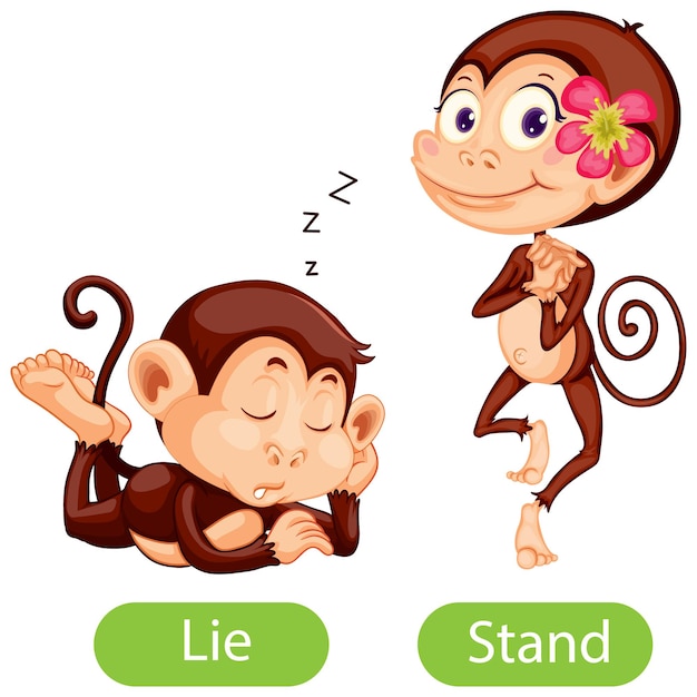 Free vector opposite words with lie and stand