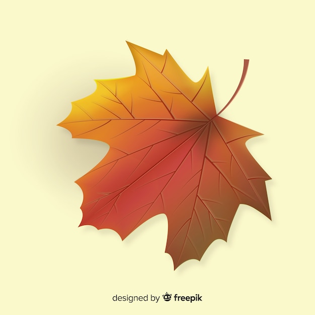 Orange autumn leaf realistic style