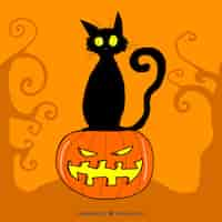 Free vector orange background with black cat and pumpkin