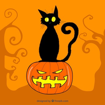 Orange background with black cat and pumpkin