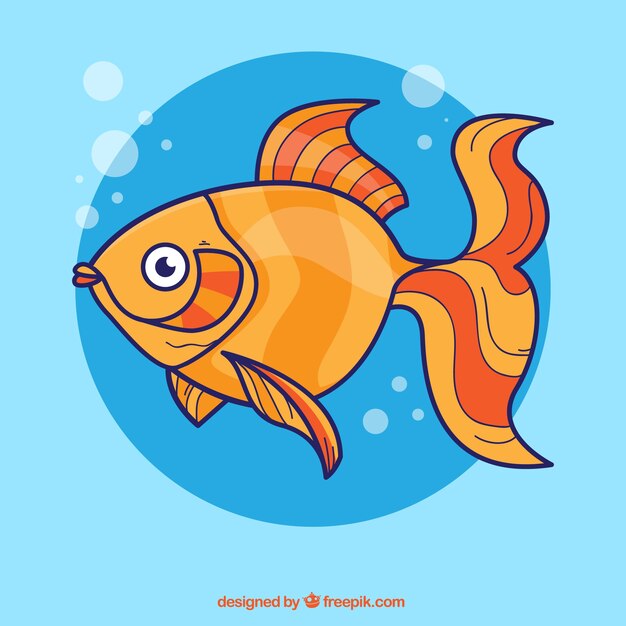 Оранжевый рыбы